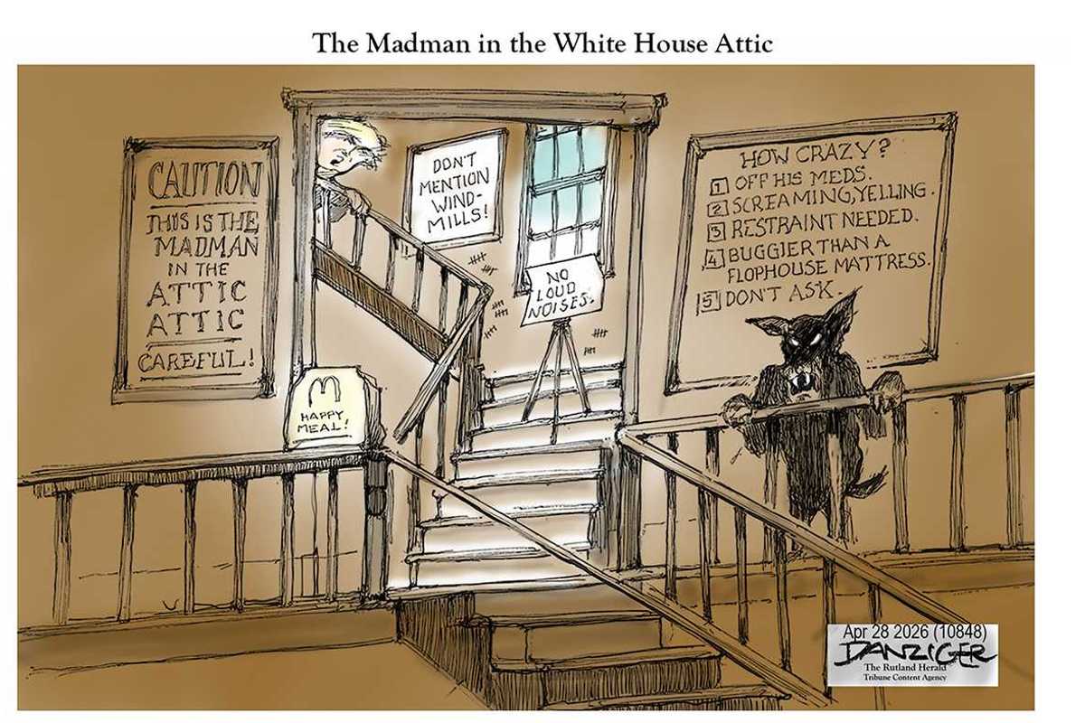 Danziger Draws