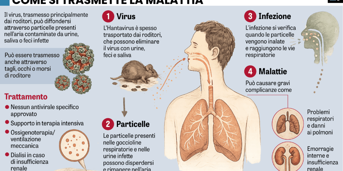 vaccini e mascherine col virus dei ratti gi224 riparte la giostra