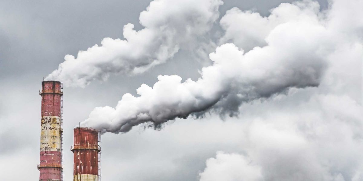 ci risiamo il pd vuol mangiare la co2