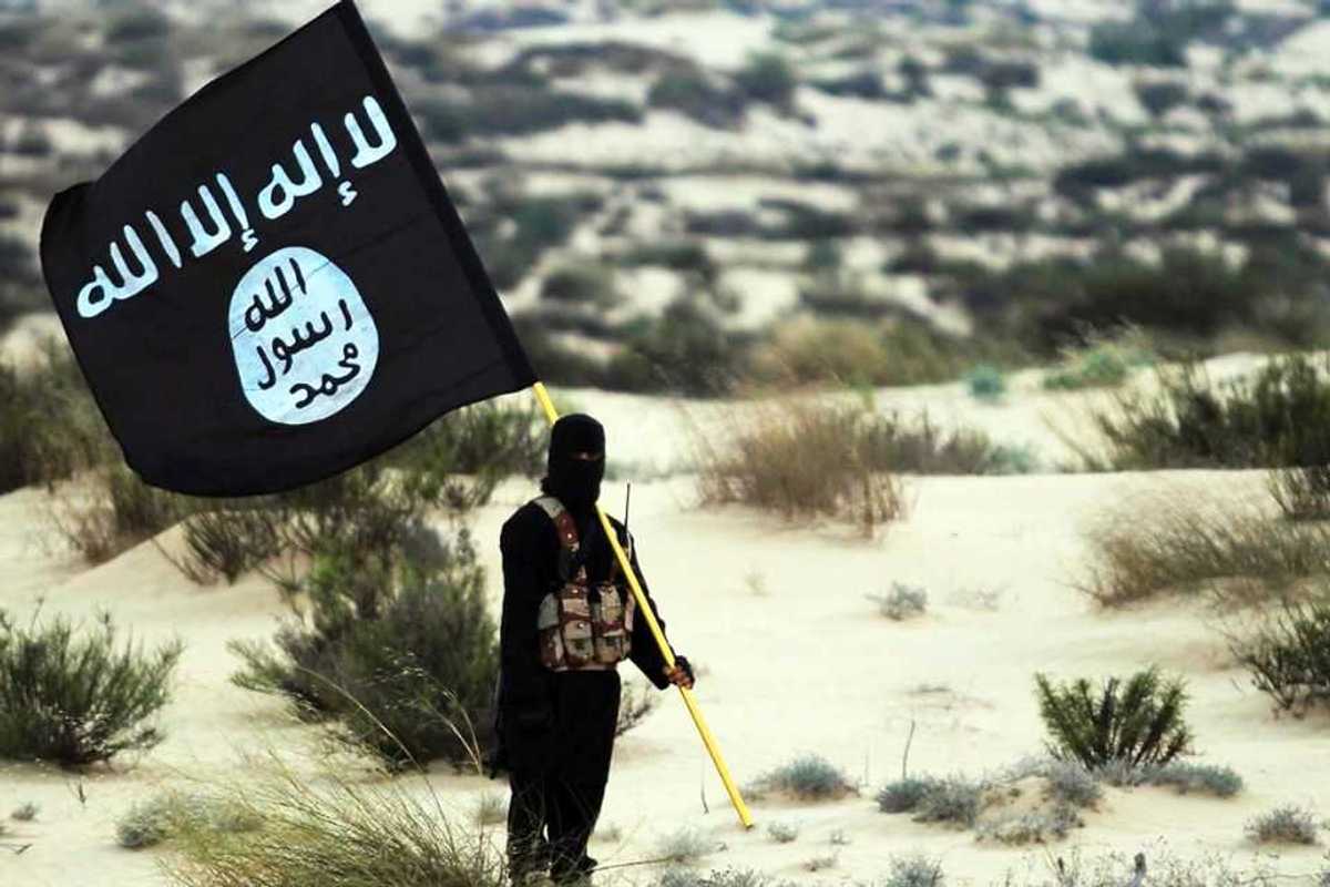 Culto di Bin Laden e inni al martirio. I social del terrorista di Vimercate