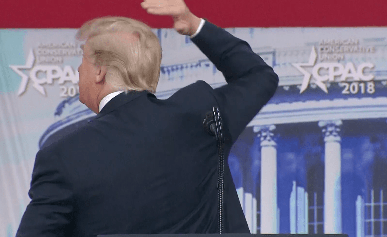 Trump bald spot
