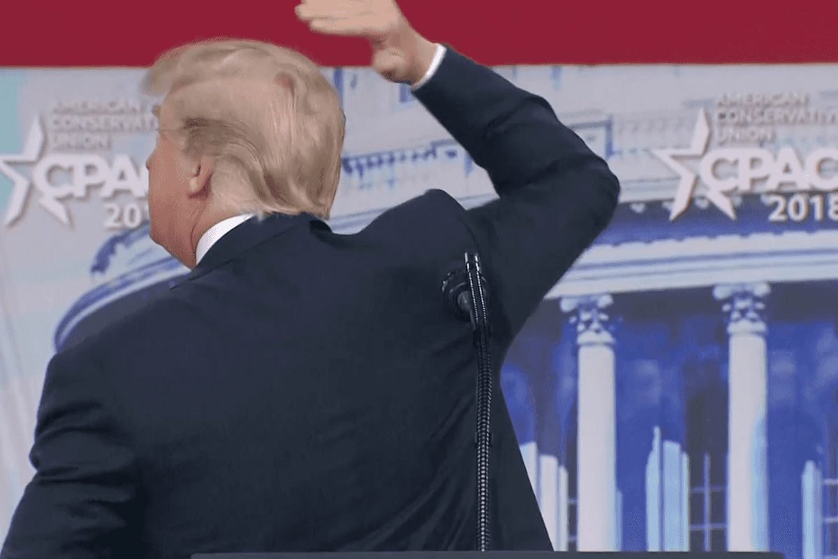 Trump bald spot