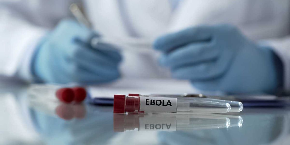 ebola arriver224 a 20000 contagi da Laverita.info ebola arriver224 a 20000 contagi