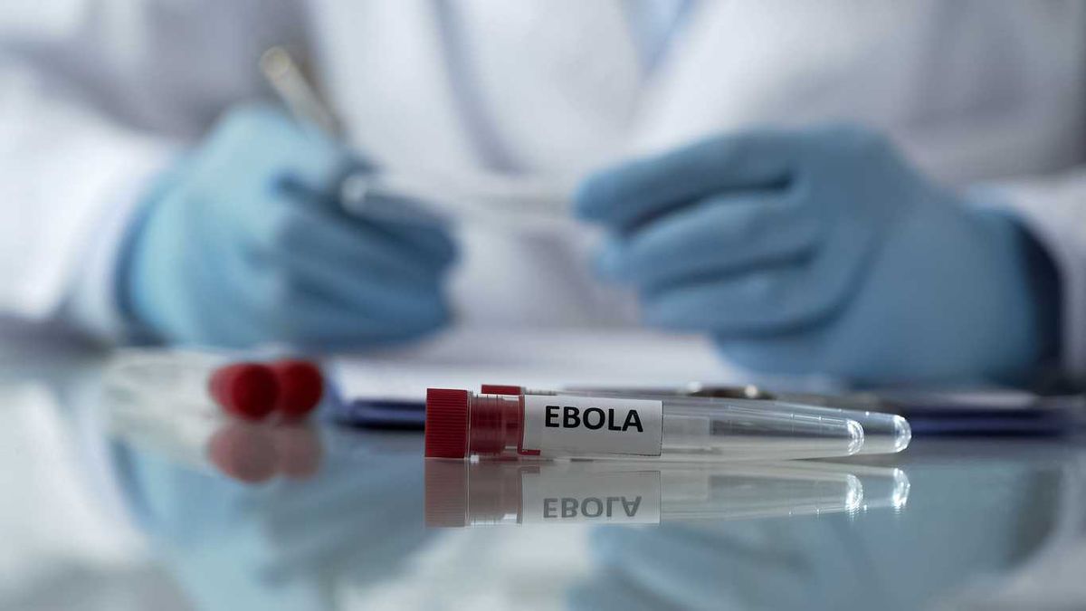 «Ebola arriverà a 20.000 contagi»