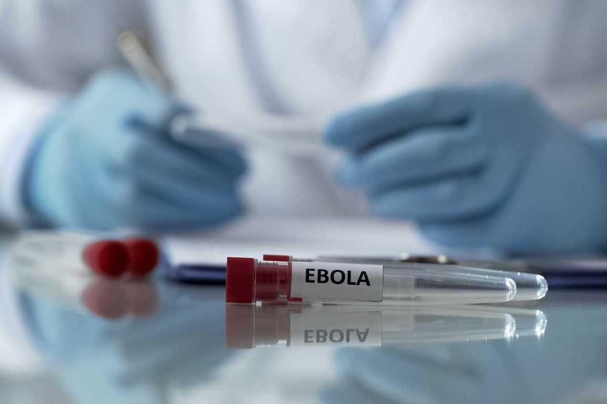 «Ebola arriverà a 20.000 contagi»