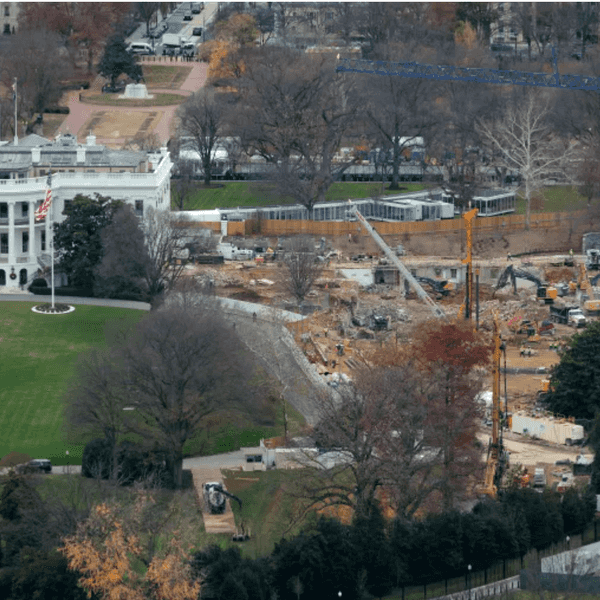 Trump Lawyer: We Can Bulldoze The Statue Of Liberty Without Any Public Recourse