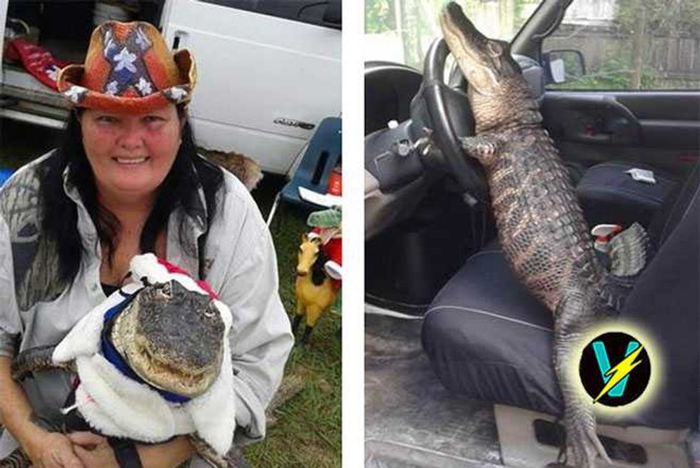 Let This Florida Woman Keep Her Pet Alligator Rambo, Goddammit!