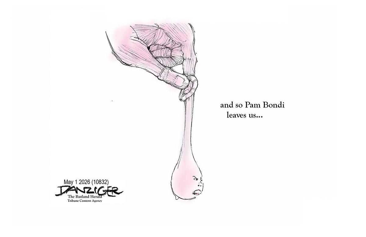 Danziger Draws