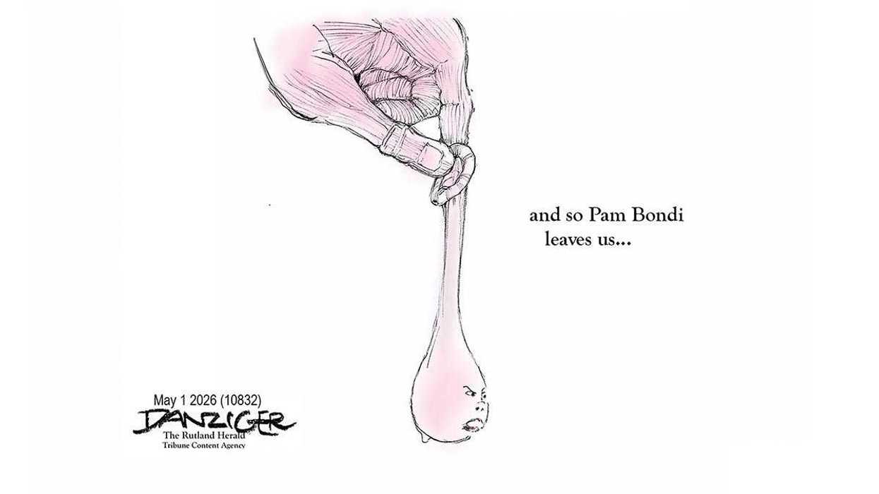 Danziger Draws
