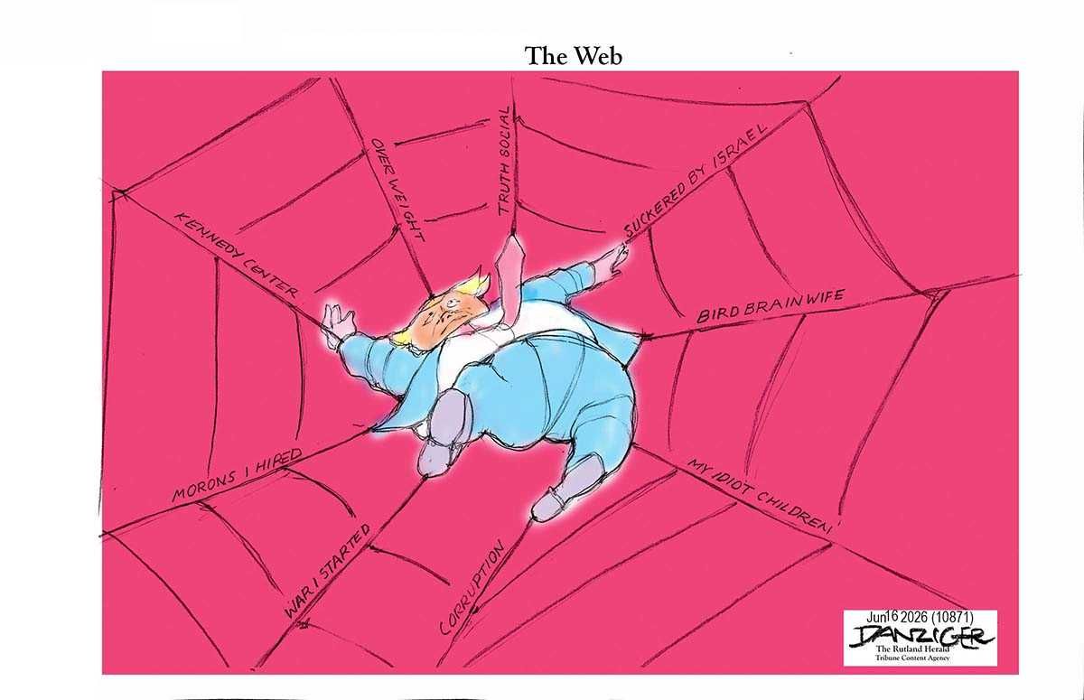 Danziger Draws