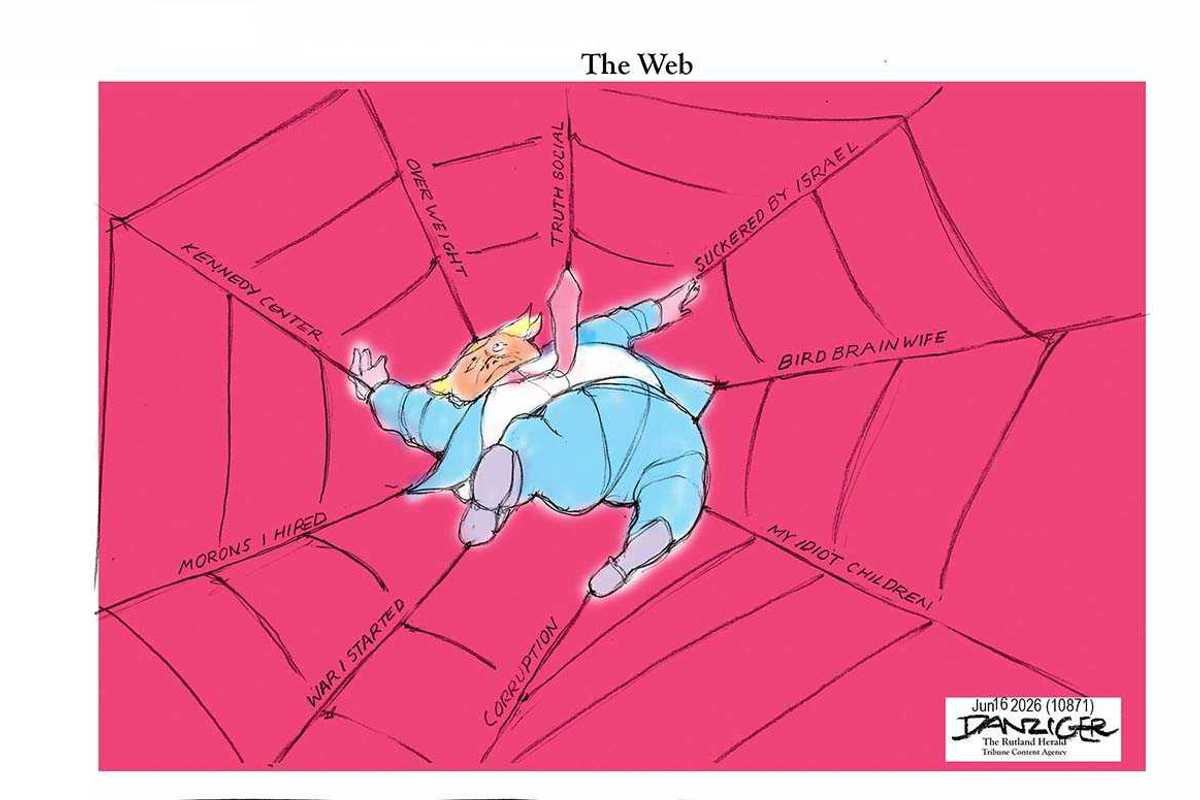 Danziger Draws