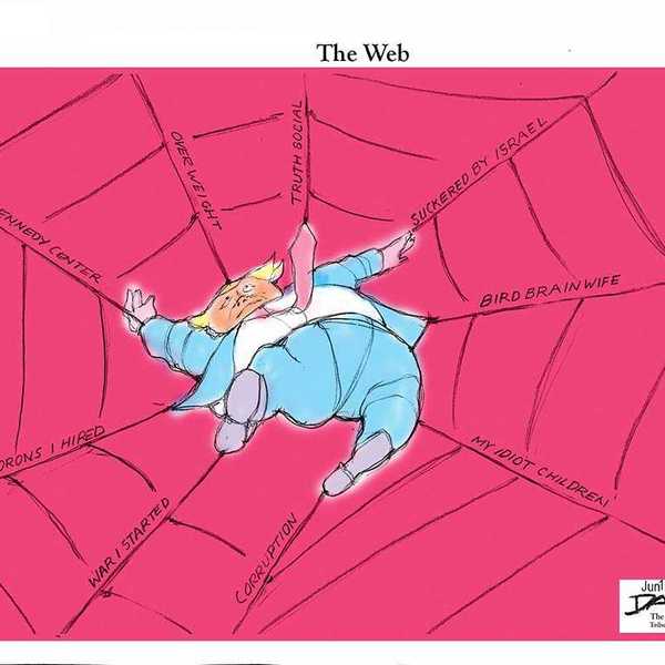 Danziger Draws