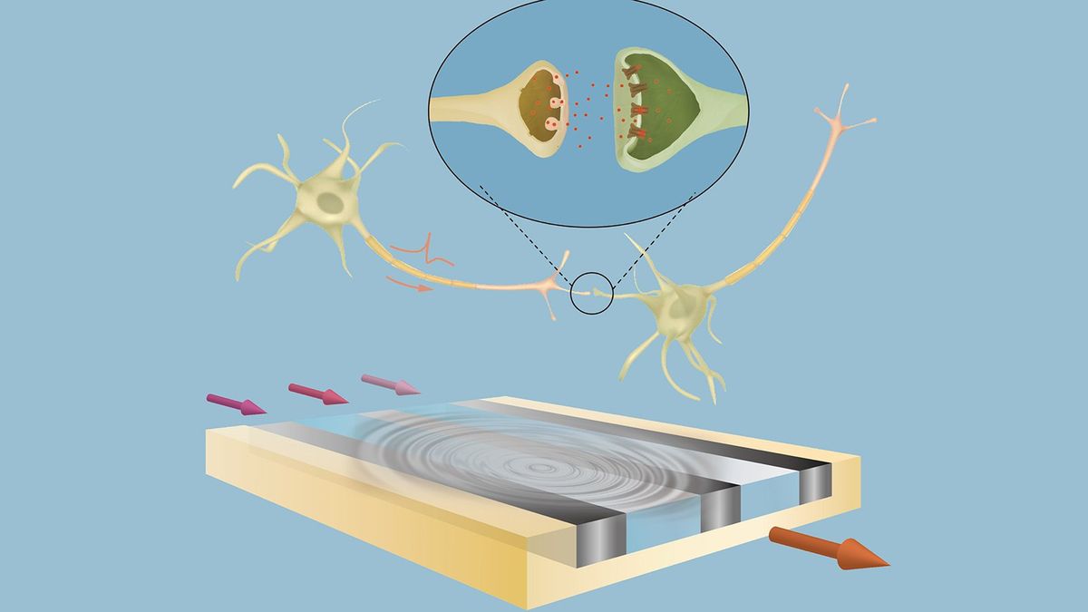 Onde Sonore: La Nuova Frontiera dei Chip Neuromorfici per l'AI On-Premise