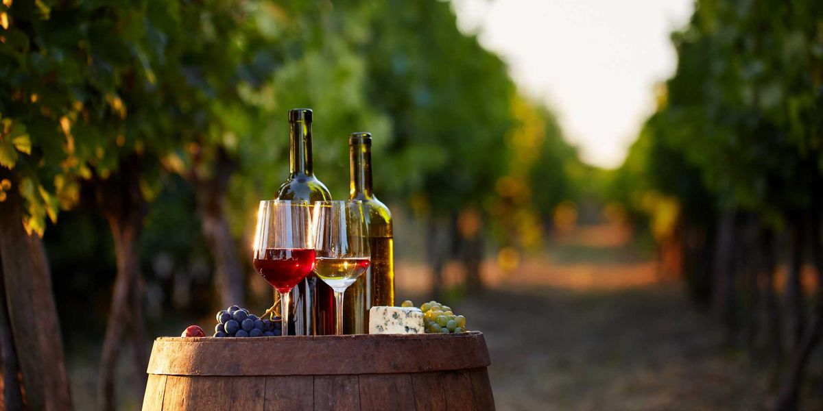 un po8217 di vino fa bene ecco il filo che lega ippocrate ad al bano da Laverita.info un po8217 di vino fa bene ecco il filo che lega ippocrate ad al bano