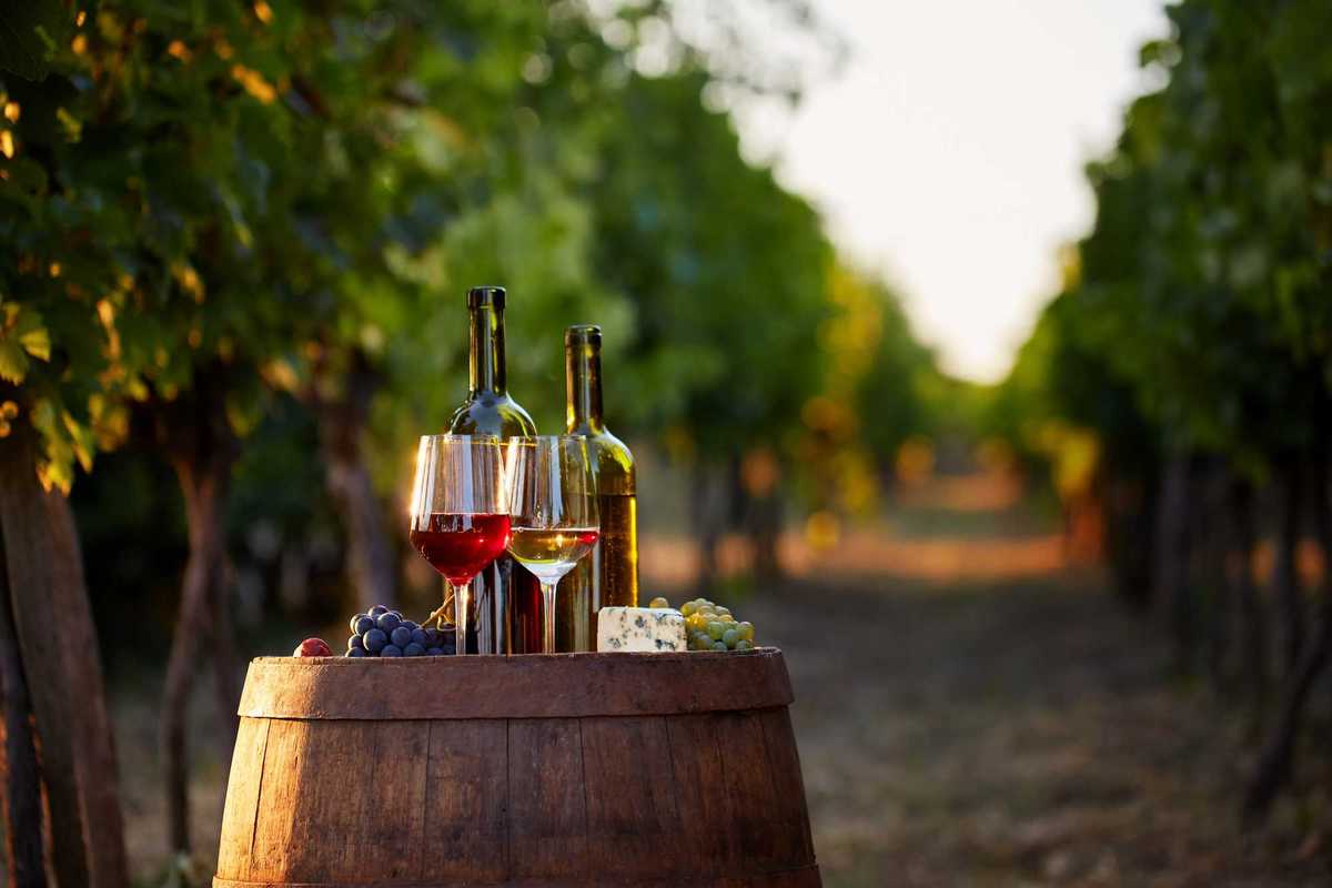 Un po’ di vino fa bene. Ecco il filo che lega Ippocrate ad Al Bano