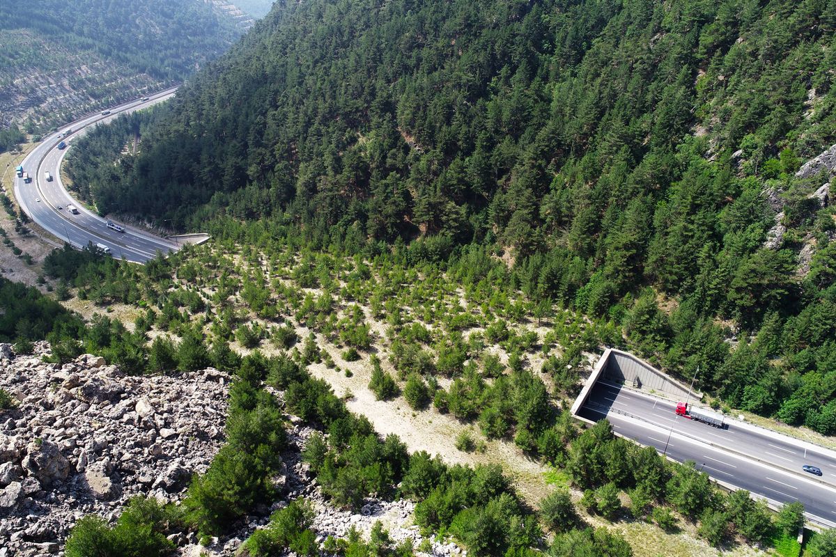 In an Era of Hardening Borders, Wildlife Corridors Bridge Peoples and ...