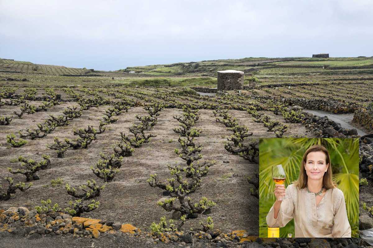 Lo spirito vulcanico di Pantelleria si trova nel suo vino