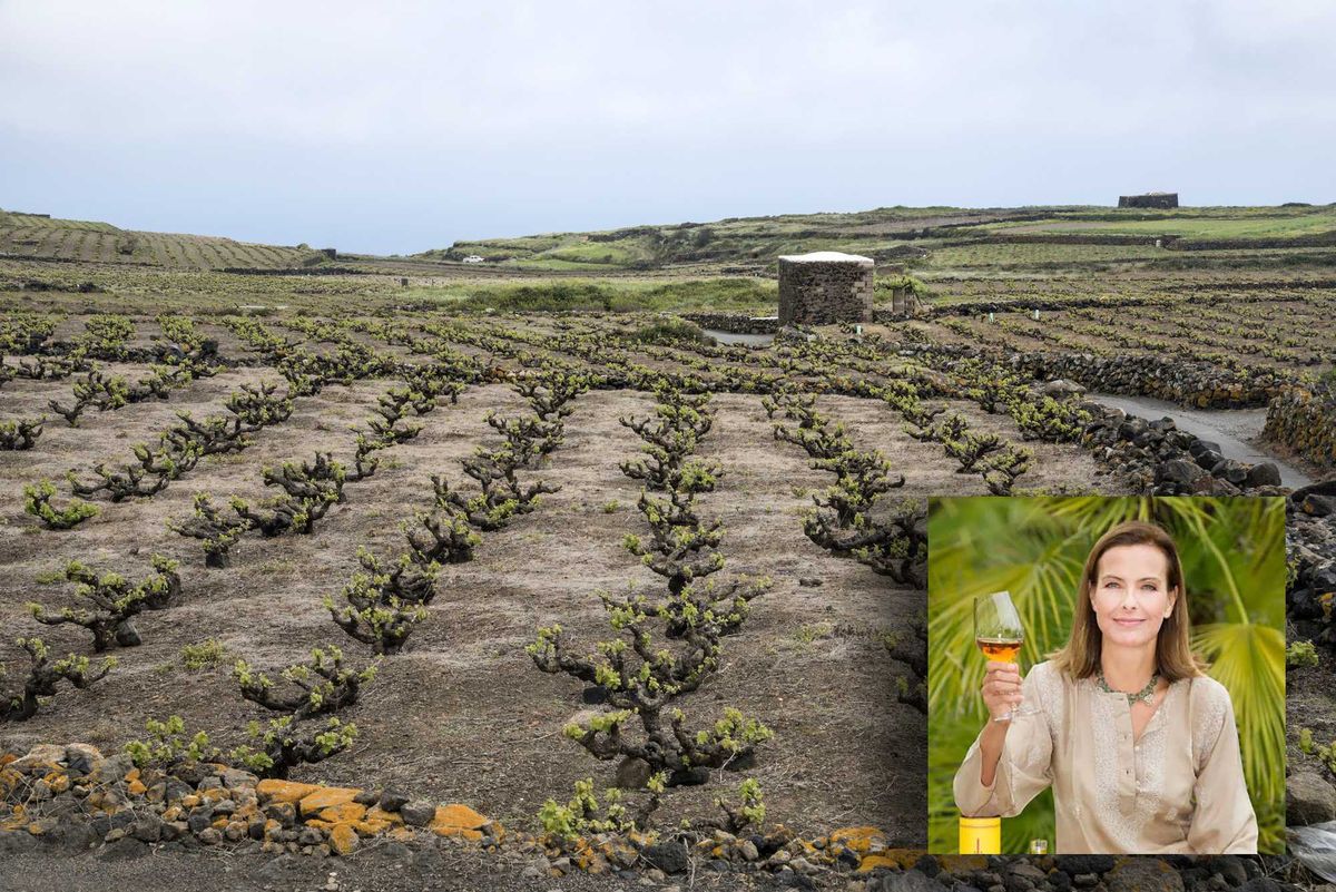 Lo spirito vulcanico di Pantelleria si trova nel suo vino