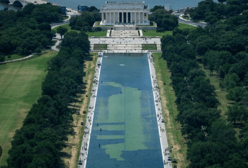 Pool Of Slime Reflects The Depth And Breadth Of Trump's Betrayals