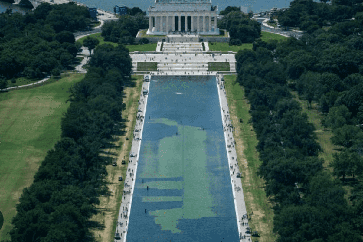 Pool Of Slime Reflects The Depth And Breadth Of Trump's Betrayals