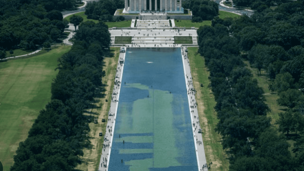 Pool Of Slime Reflects The Depth And Breadth Of Trump's Betrayals