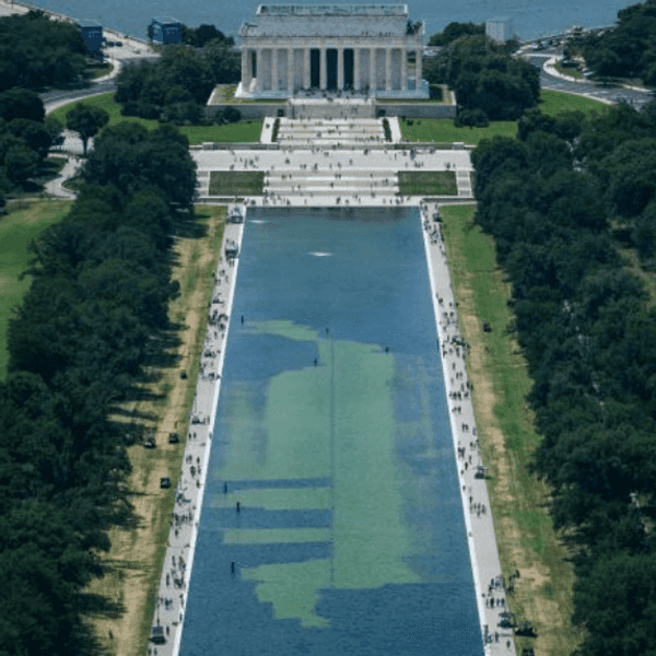 Pool Of Slime Reflects The Depth And Breadth Of Trump's Betrayals