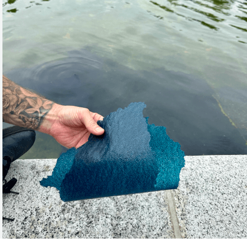 New Reporting Shatters Trump Narrative On Reflecting Pool 'Vandalism'