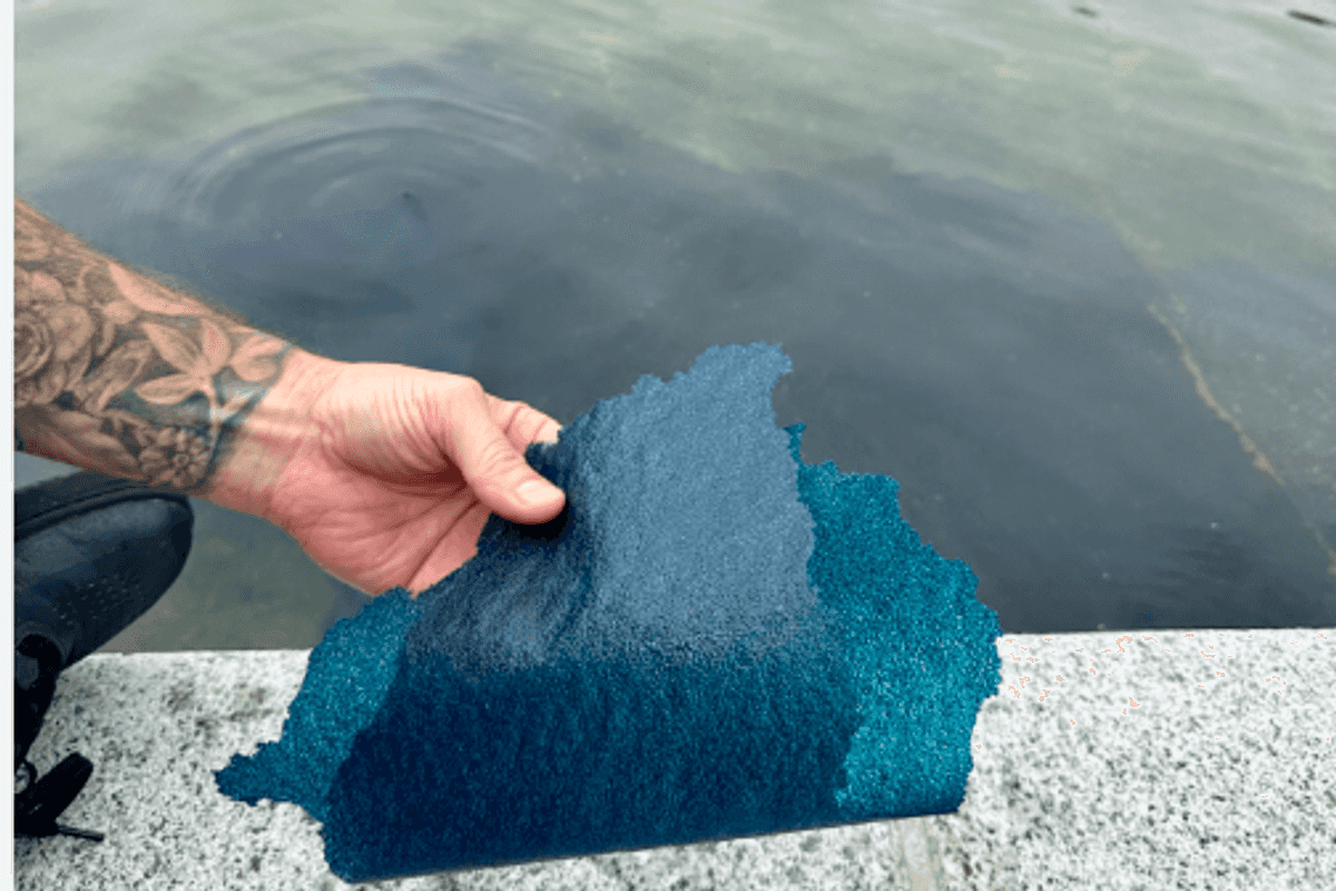 New Reporting Shatters Trump Narrative On Reflecting Pool 'Vandalism'