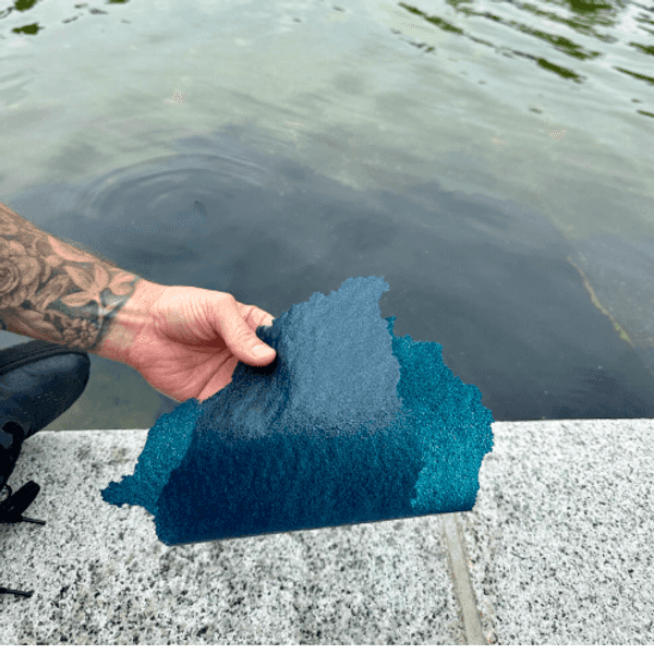 New Reporting Shatters Trump Narrative On Reflecting Pool 'Vandalism'