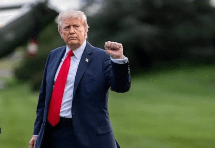 To Wield Power Effectively, This Is What Democrats Must Learn From Trump