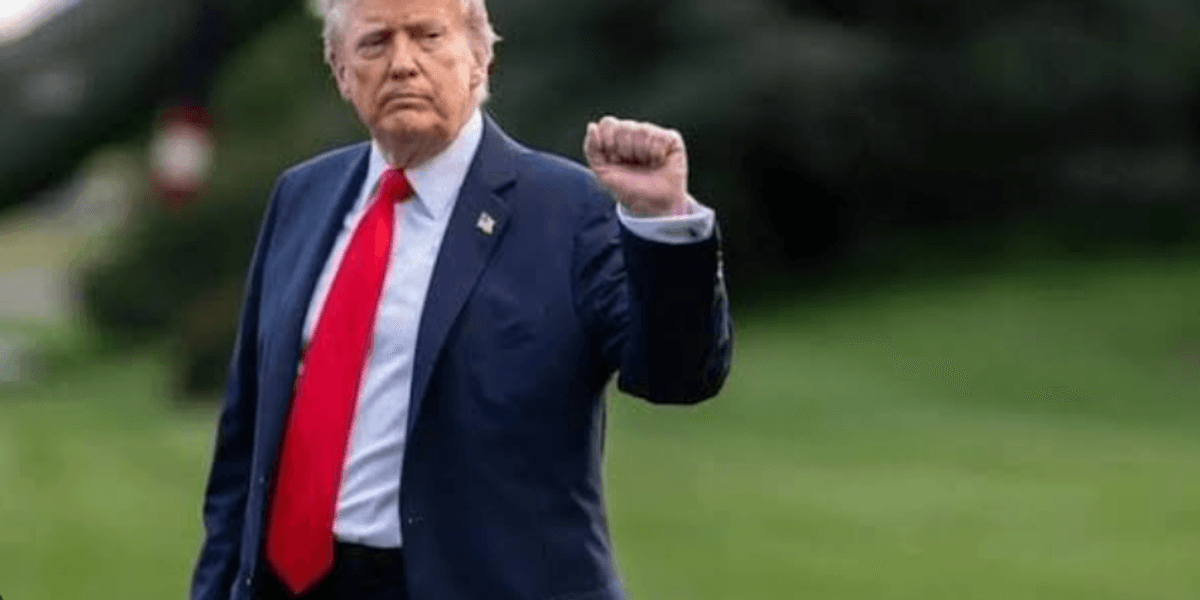 To Wield Power Effectively, This Is What Democrats Must Learn From Trump