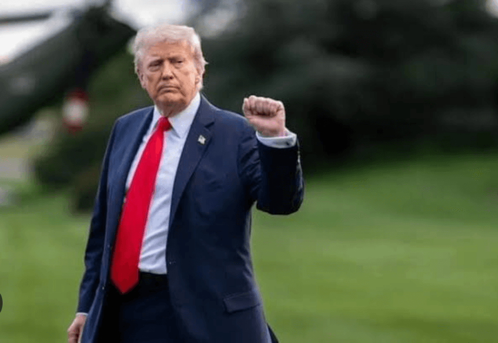 To Wield Power Effectively, This Is What Democrats Must Learn From Trump