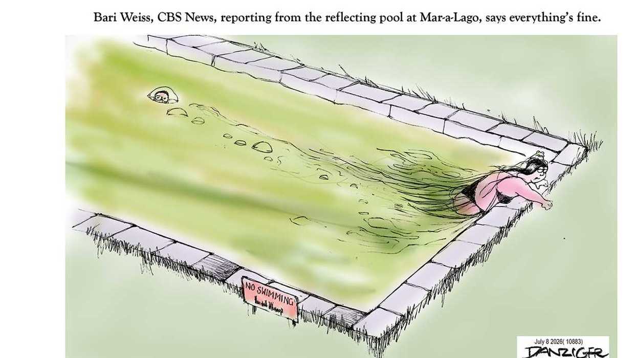 Danziger Draws