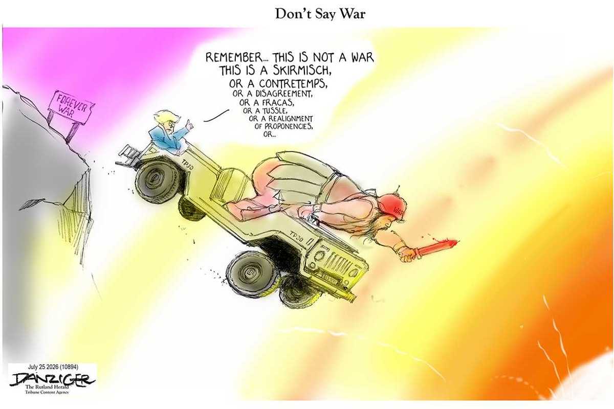 Danziger Draws
