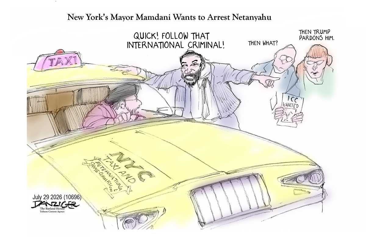 Danziger Draws