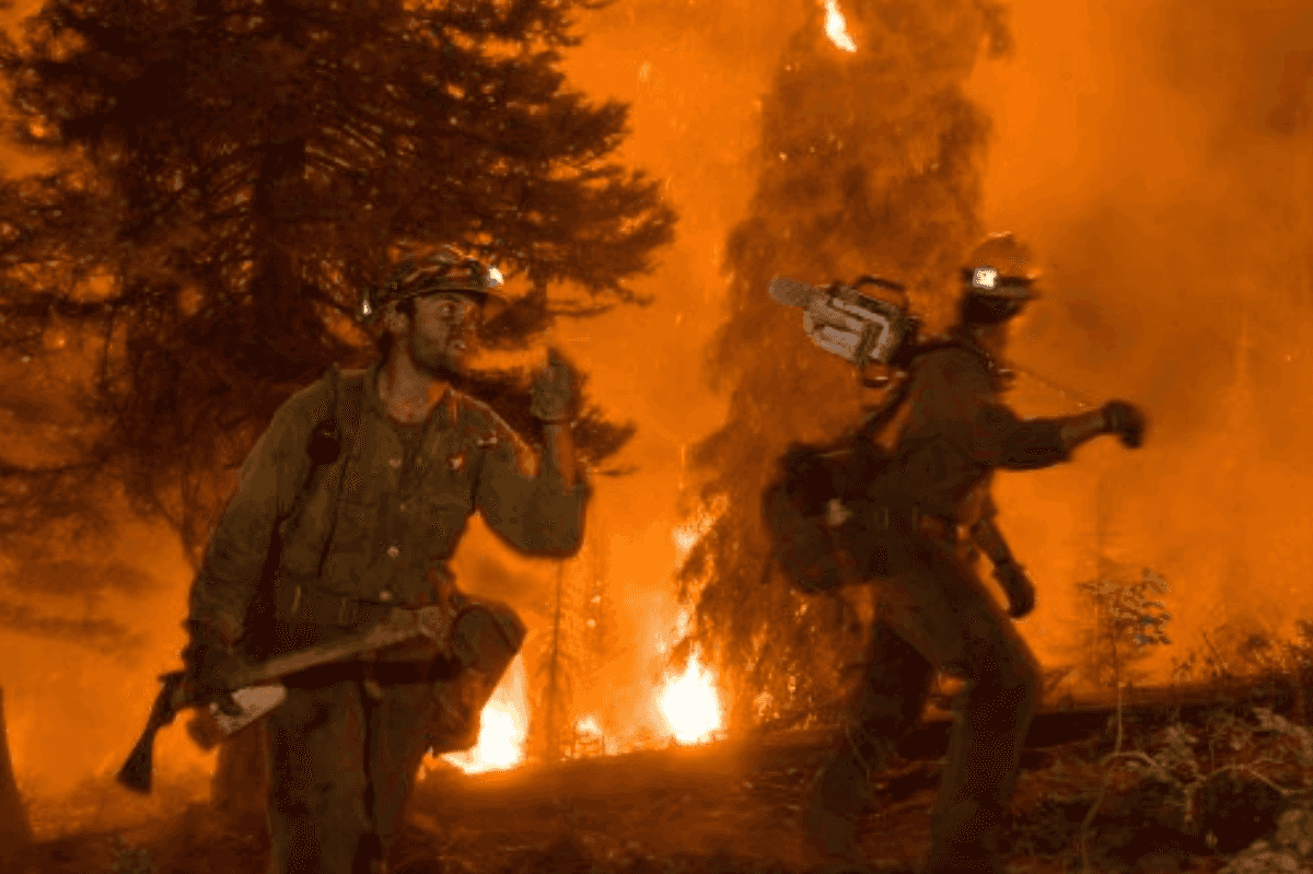 Trump's Wildfires: The Arsonist Complains About Choking On Smoke