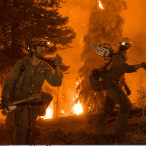 Trump's Wildfires: The Arsonist Complains About Choking On Smoke