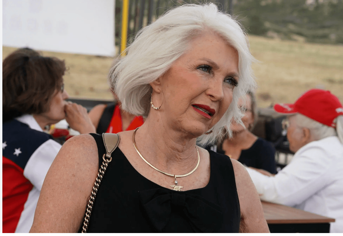Election Deniers -- Led By Tina Peters -- Pitch A Midterm 'Security Plan' To White House