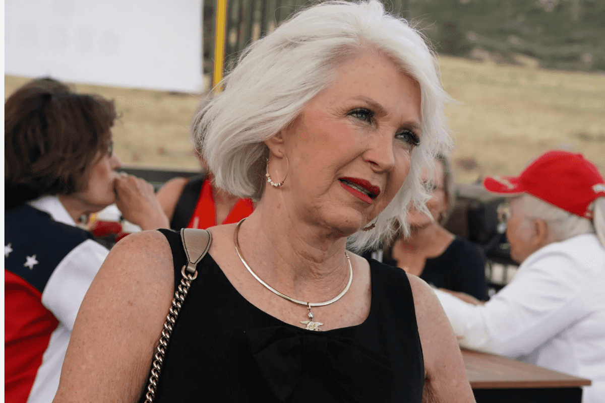 Election Deniers -- Led By Tina Peters -- Pitch A Midterm 'Security Plan' To White House