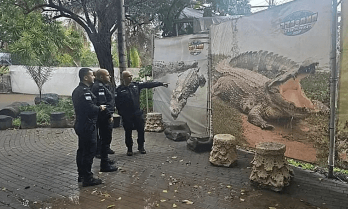 Inspired by Trump, Israel Advances Plan for Crocodile-Ringed Prison for Palestinians | Common Dreams