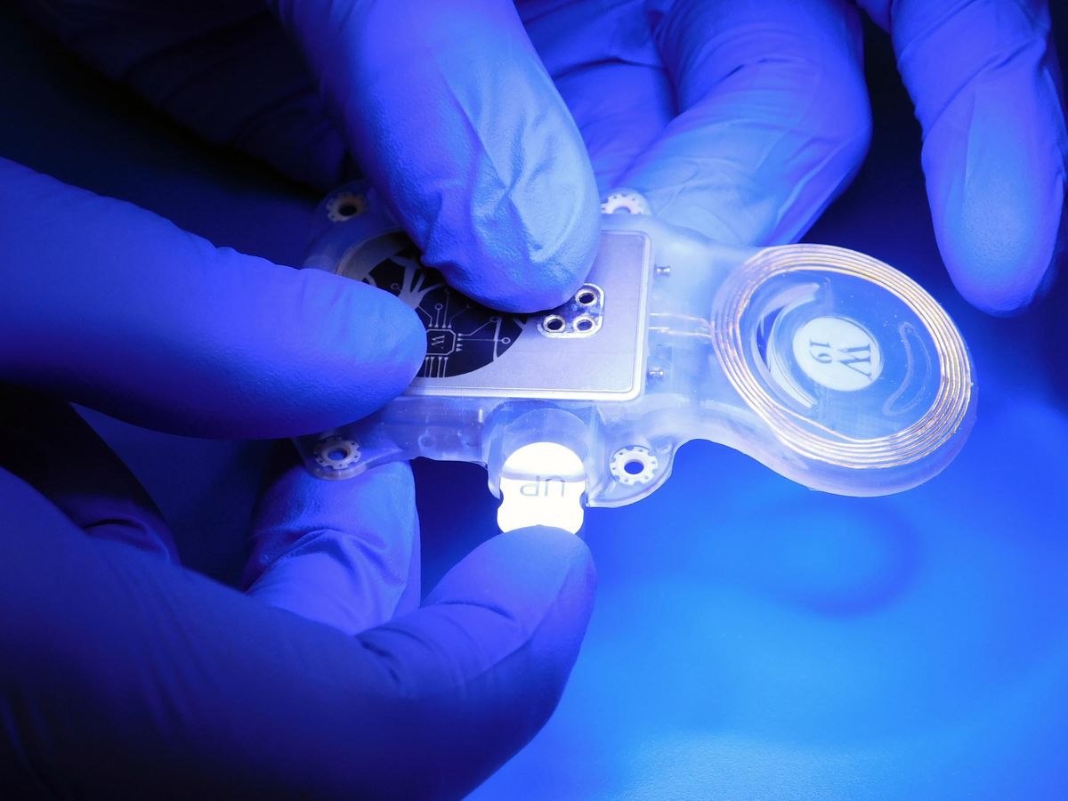 Ability Neurotech Infrarot-BCI startet klinische Studien am Menschen