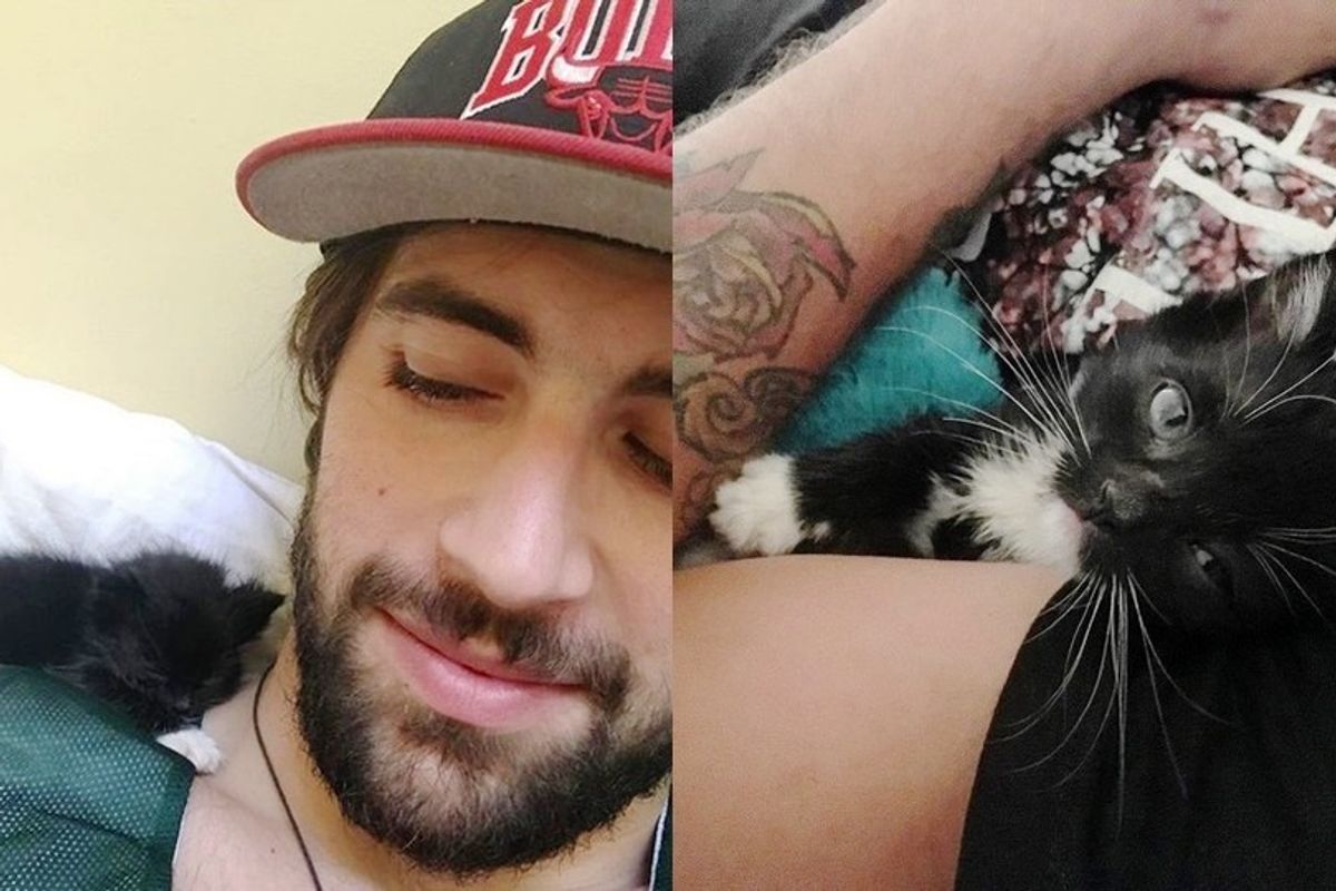 Runty Kitten Chooses His Rescuers to Be His Family for Life