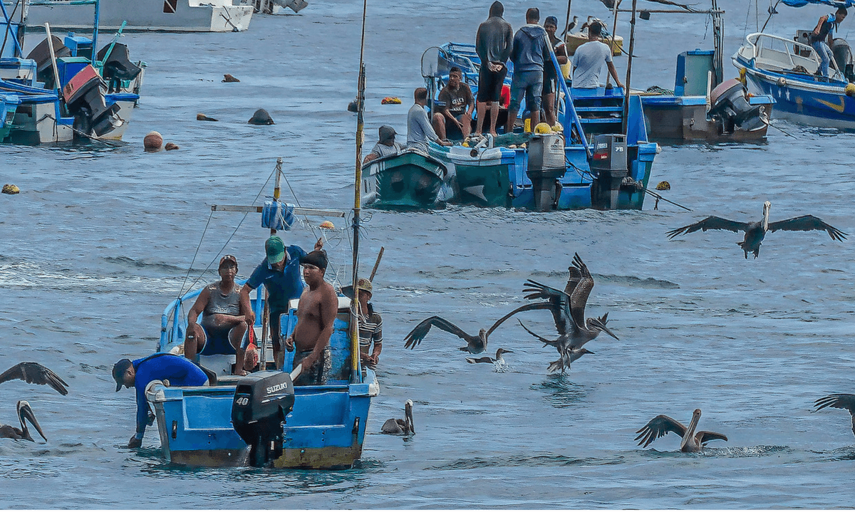 Mysterious Attacks on Ecuadorian Fishers Raise Fears of Expanded US Boat ...