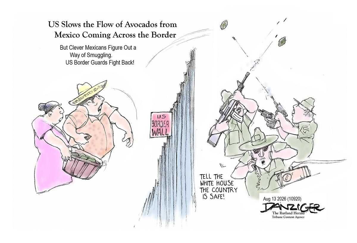 Danziger Draws