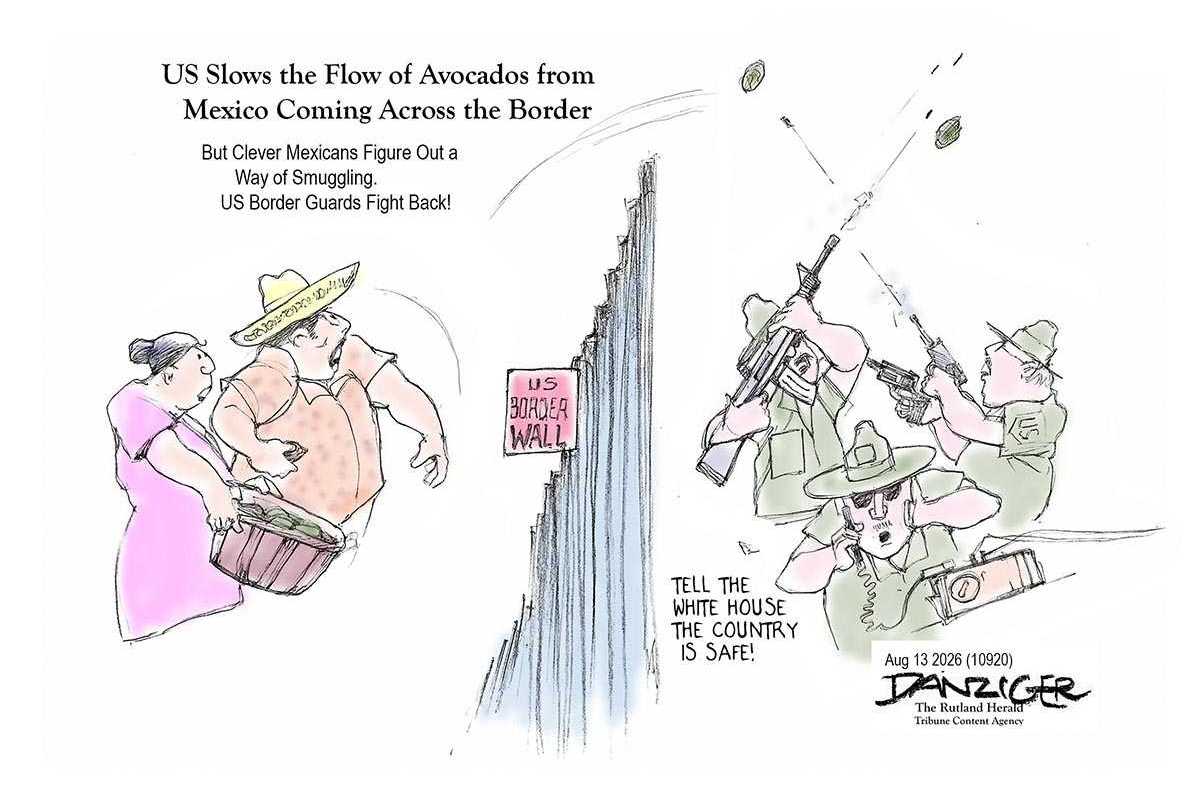 Danziger Draws