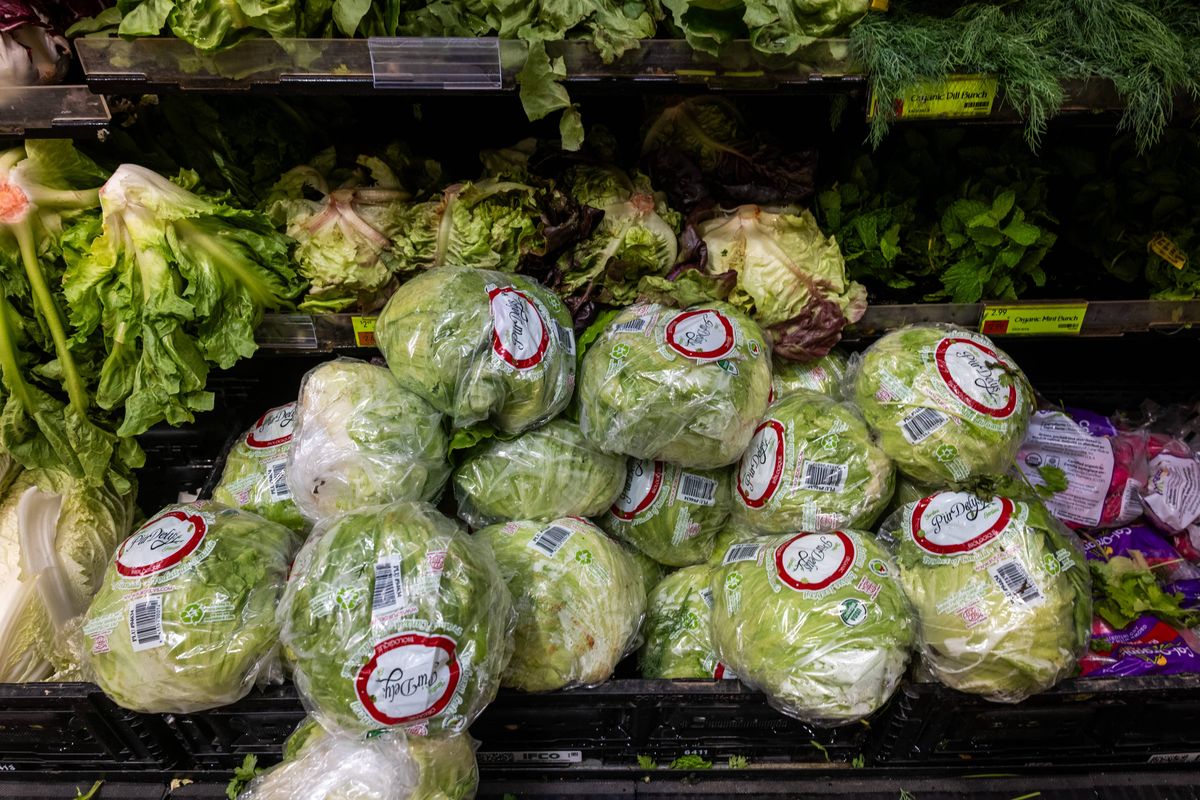 Corporate Consolidation Spree That Enabled 'Massive Reach' of Taylor Farms ...