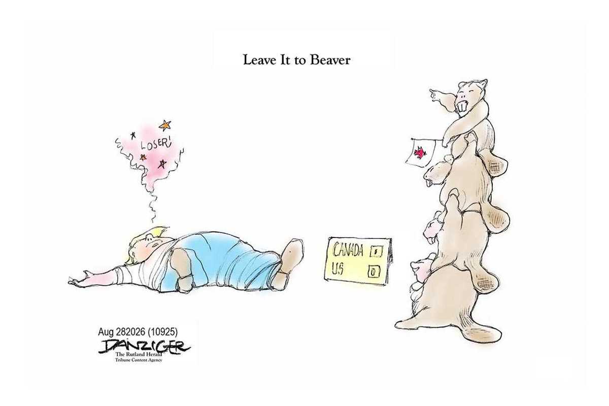 Danziger Draws