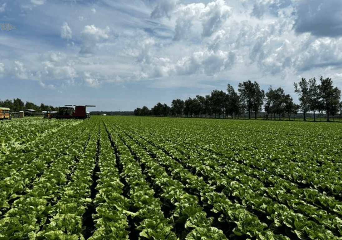New Report: Trump’s Food Safety Cutbacks Are Making Americans Sick