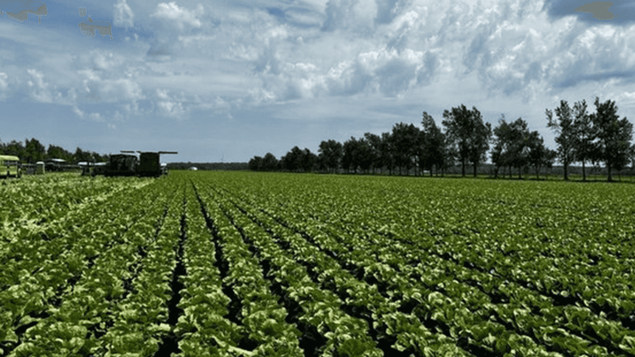 New Report: Trump’s Food Safety Cutbacks Are Making Americans Sick