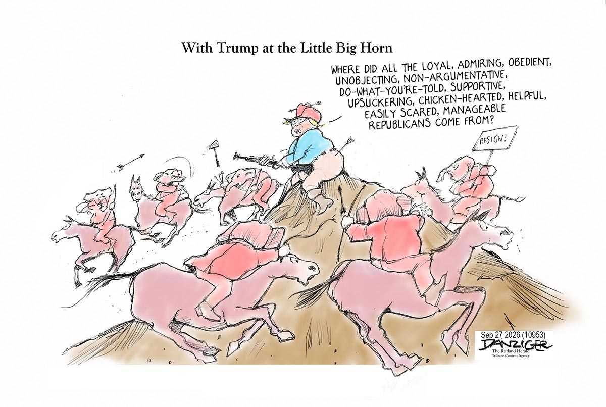 Danziger Draws